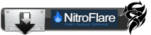 Nitroflare 360 days
